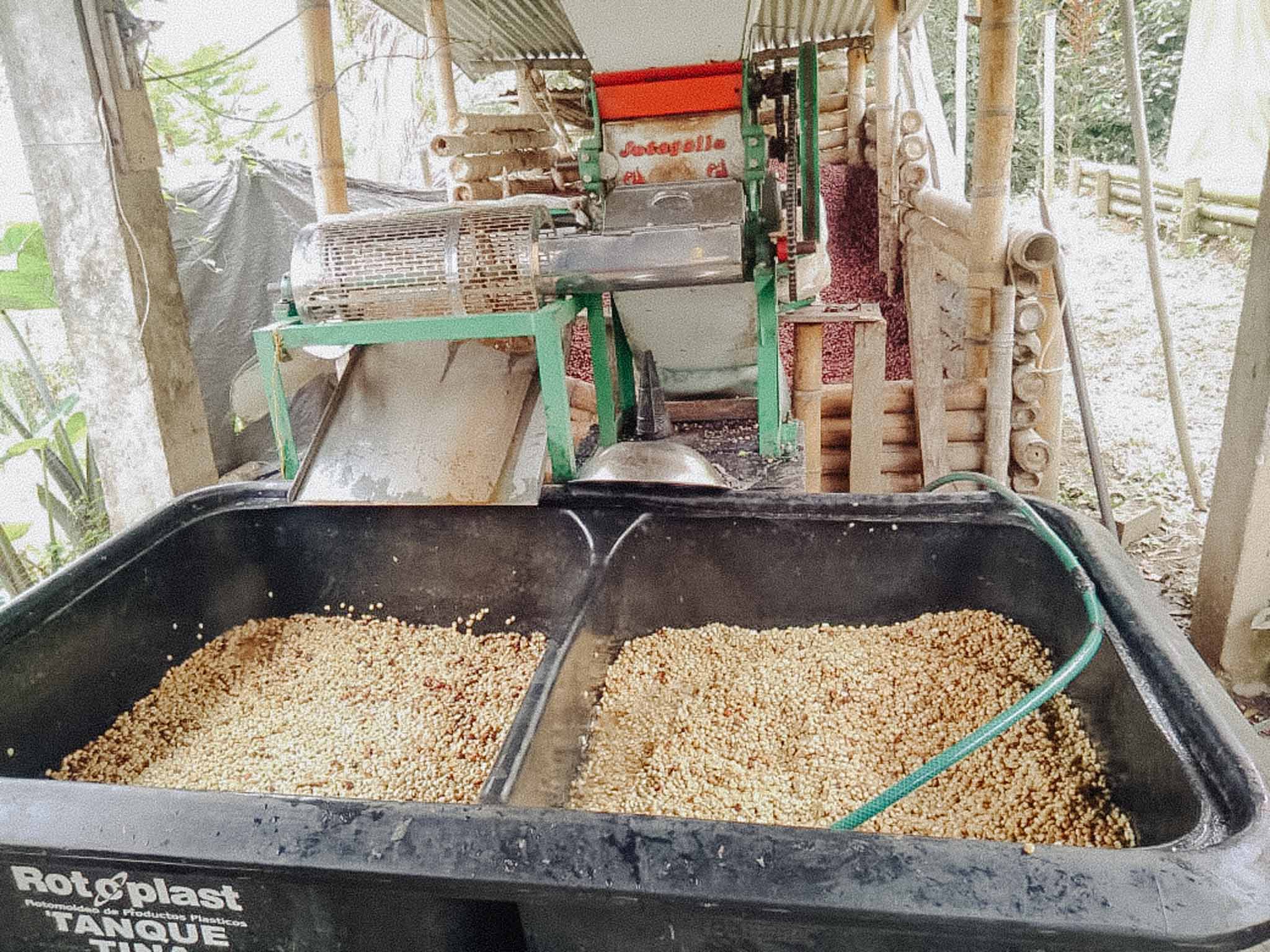 WhatsApp Image 2020-11-03 at 2 54 53 PM (2)