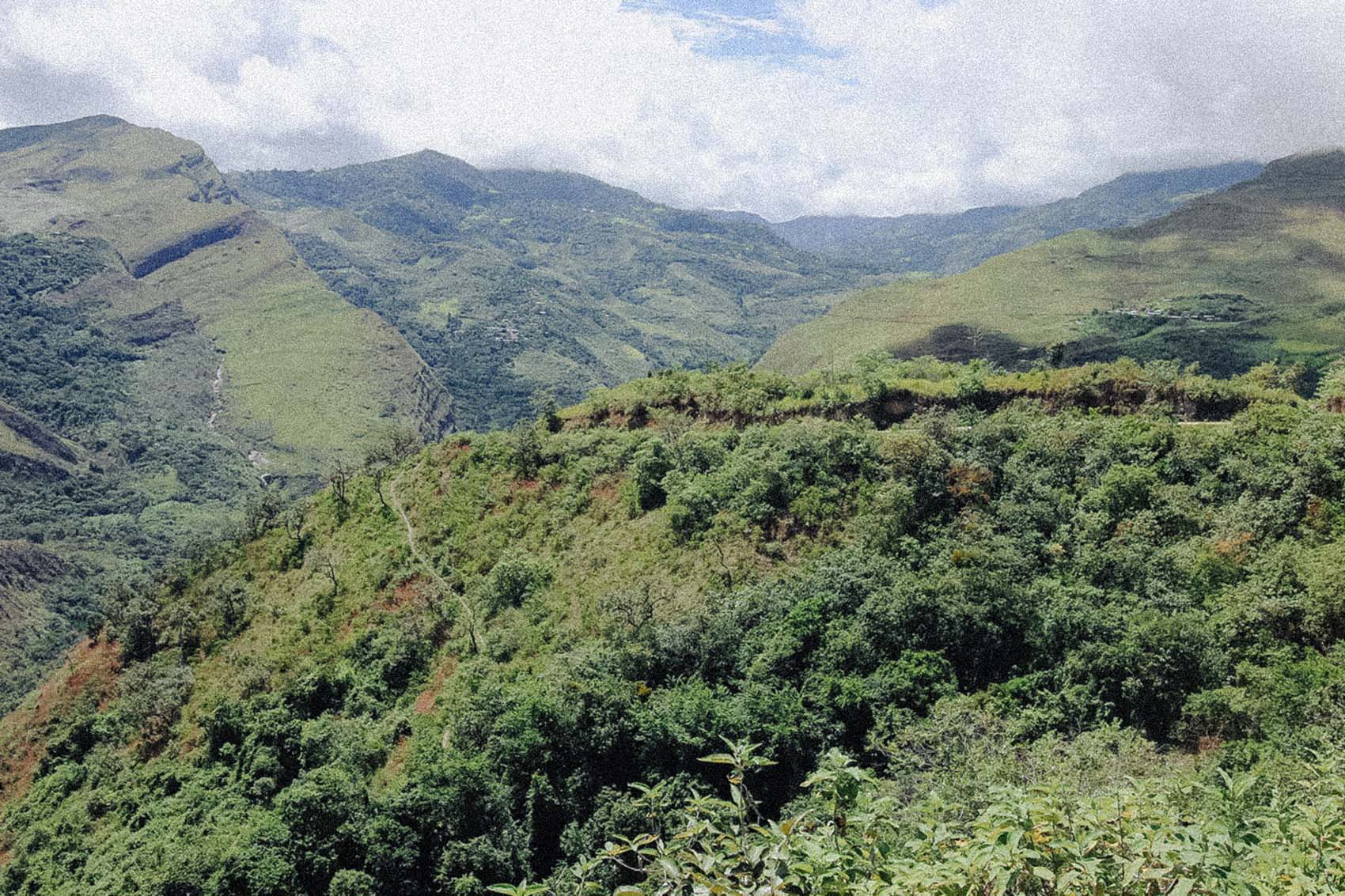 Roger Chilcon00001-2