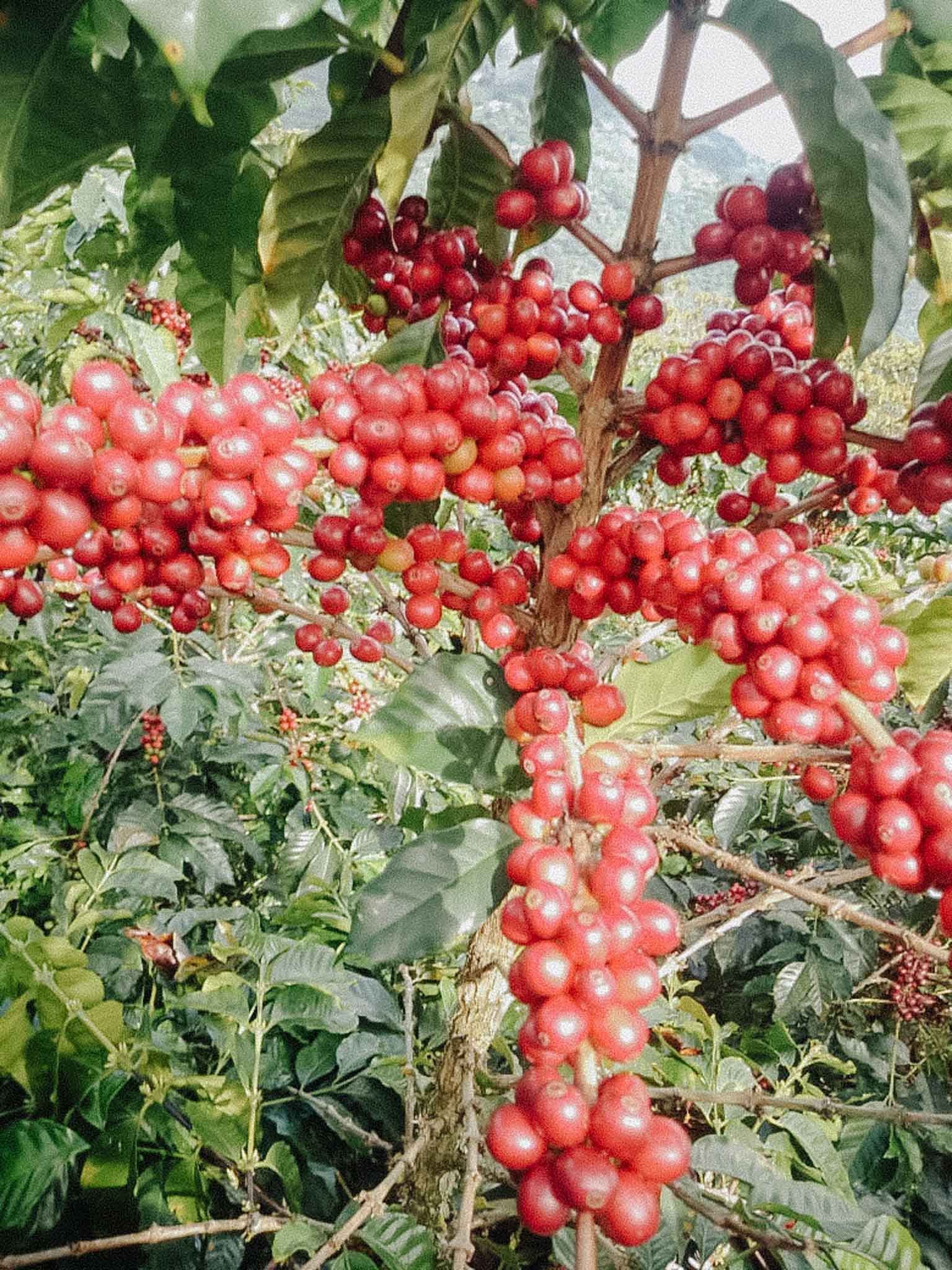 WhatsApp Image 2020-11-03 at 2 54 54 PM