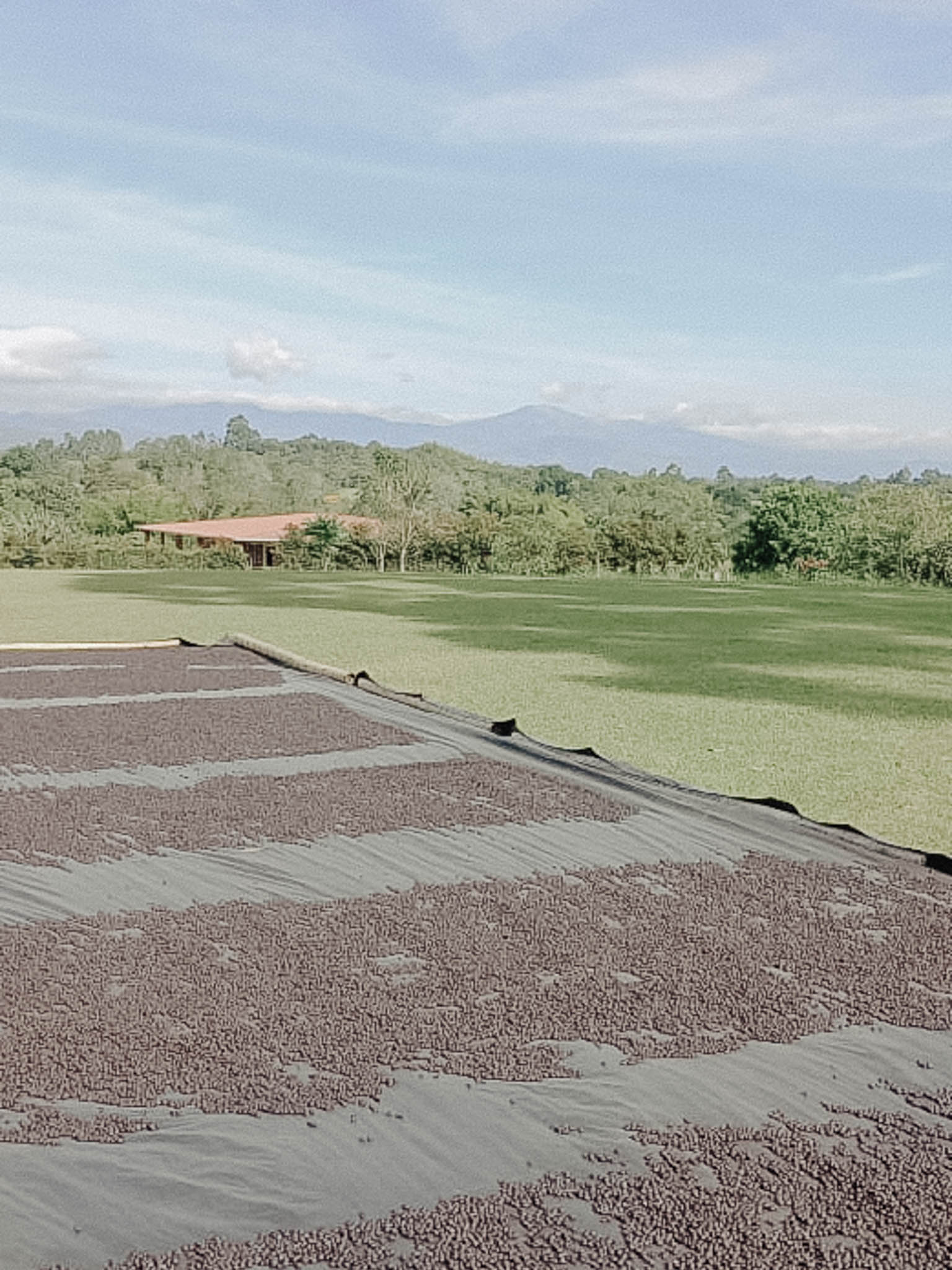 WhatsApp Image 2022-02-02 at 11 09 02 AM